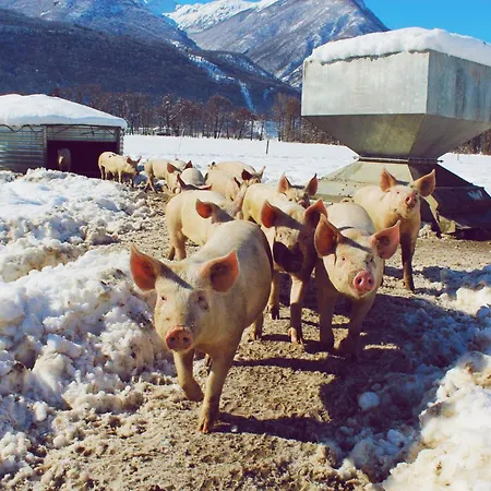 Séjour à la ferme Masseria Ramello *